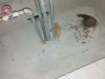 三亚市卫生间测漏水价格明细